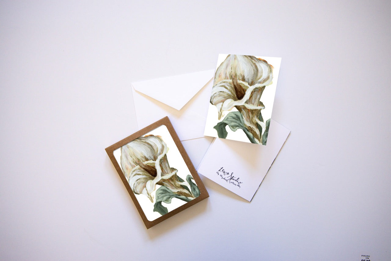 "Lily Flower 9 Bold" A2 Box Card Set
