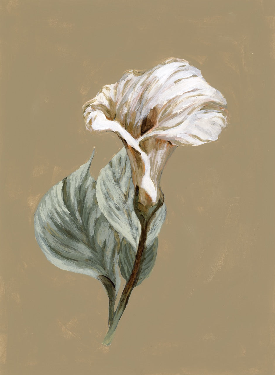 "Lily Flower 10" Art Print