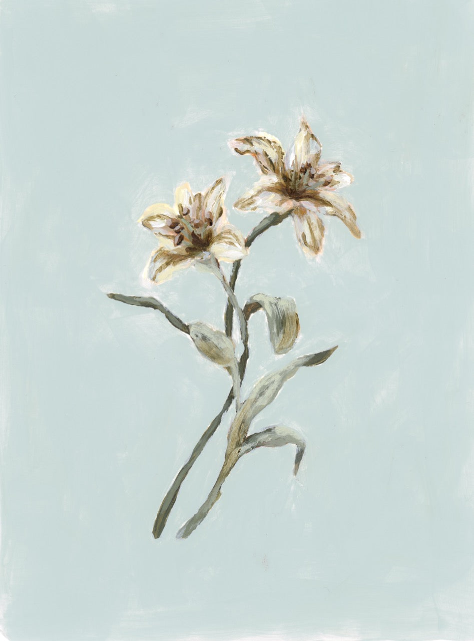 "Lily Flower 11" Art Print