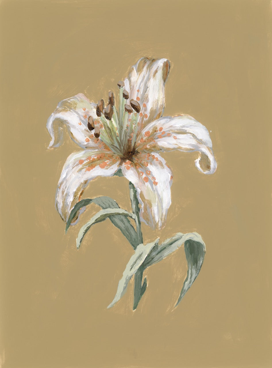 "Lily Flower 8" Art Print