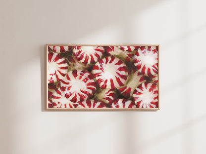 "Peppermints" Frame TV