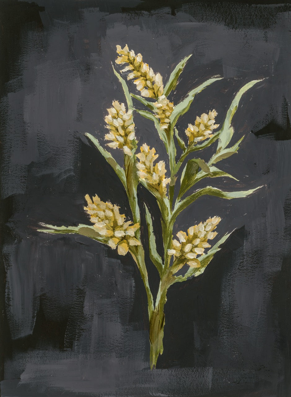 "Wild Flower 5" Art Print