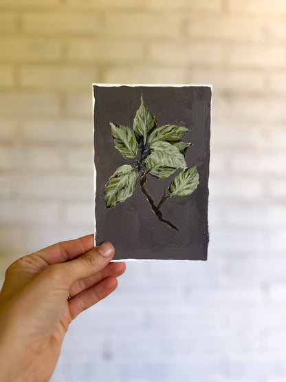 "Wild Flower no. 7" Original (unframed)