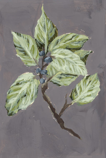 "Wild Flower no. 7" Original (unframed)