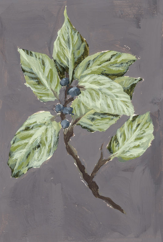 "Wild Flower no. 7" Original (unframed)